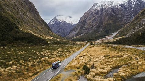 zealand day tours sightseeing day trips greatsights