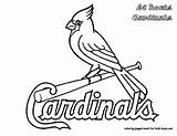 Cardinals Baseball Cardinal Wildcats Squidoo sketch template