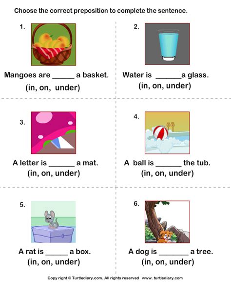 prepositions  place    turtle diary worksheet
