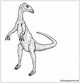 Coelophysis Dinosaur Pages Coloring Online Color sketch template