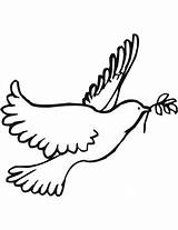 Dove Coloring Peace Doves Printable Pages Turtle Bird Drawing Clipart Color Silhouette Template Holy Spirit Luther Martin Sketch King Clip sketch template