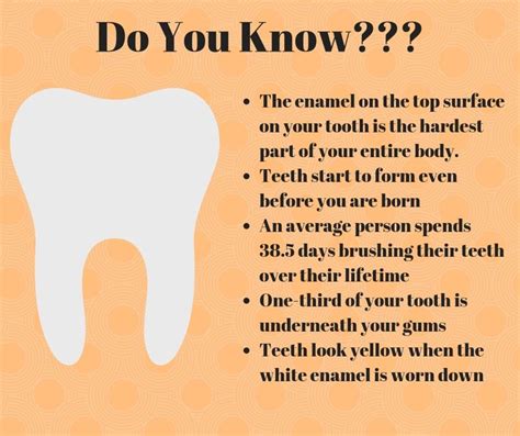 Do You Know Teeth Dentalcare Dentalhealth Dentists Dentistry