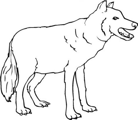 scary wolf coloring page  print  coloring pages