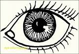 Coloring Eye Human Getdrawings sketch template