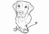 Lab Labrador Coloring Pages Drawing Yellow Retriever Puppy Golden Dog Chocolate Puppies Line Kids Colouring Drawings Realistic Book Print Color sketch template