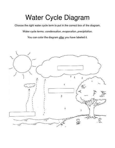 worksheet water cycle diagram worksheet grass fedjp worksheet study site