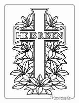 Risen Lilies sketch template