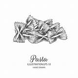 Farfalle Pasta Premium Vector Isolated Drawn Elements Illustration Hand sketch template