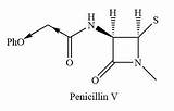 Penicillin Benzylpenicillin Differs Synthetic Solve Acid sketch template