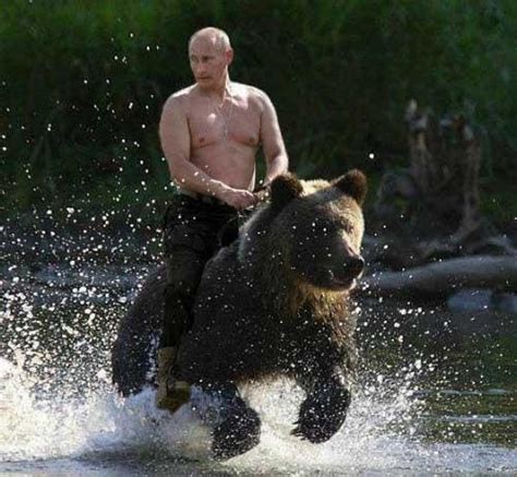 Putin Riding A Grizzly 2016 05 30 Crazy Putin Pix From The Internet