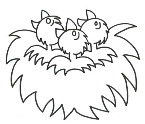 coloring page birds nest colouring pages coloring home