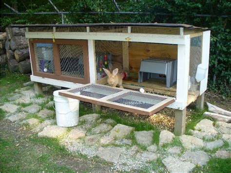 rabbit hutches   pallets pallet wood projects