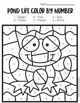 Pond Worksheets Frog Preschoolers Kindergartners sketch template