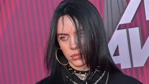 Billie Eilish Fans Defend Teen From Twitter Troll Objectifying Her