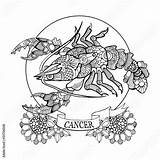Coloring Zodiac Cancer Adults Sign Book Vector Comp Contents Similar Search sketch template