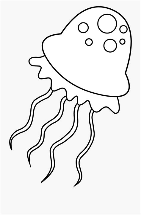 jellyfish clipart colouring page jellyfish colouring page transparent