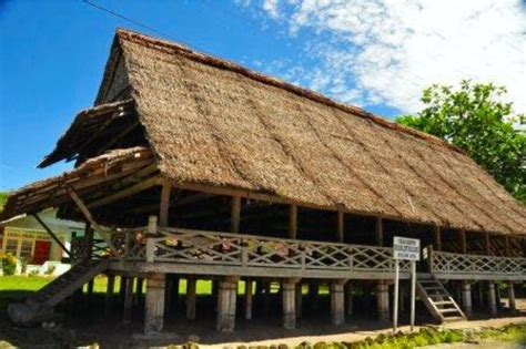 rumah adat provinsi maluku baileo pewarta nusantara