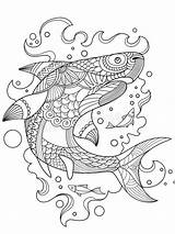 Shark Kleurplaat Haai Volwassenen Leukekleurplaten Haaien Kleurplaten Coloringpage sketch template