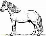 Wild Horse Coloring Pages Printable Getcolorings Print sketch template