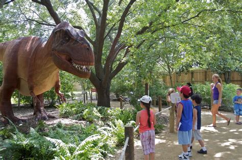 dinosaurs   life  national zoo  summer wtop