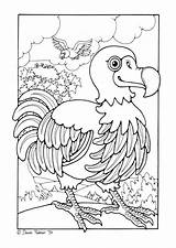 Dodo Coloring Bird Para Edupics Colorear Pages Dibujos Drawing Dibujo Large Sheets Getdrawings Visitar Choose Board sketch template
