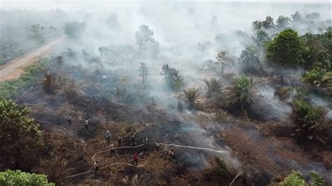 Kebakaran Hutan Dan Lahan Di Wilayah Kalimantan Barat 2019