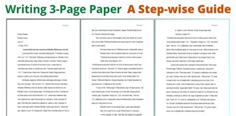 pages   essay  long   essay   guide