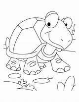 Tortoise Coloring Pages Hare Race Turtle Won Galapagos Printable Getdrawings Kids Popular Getcolorings Books sketch template
