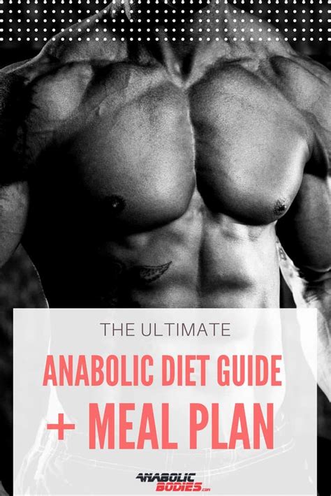 ultimate anabolic diet guide  sample meal plan