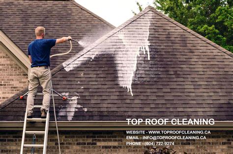 soft washing roof cleaning soft washing techniques  top roof
