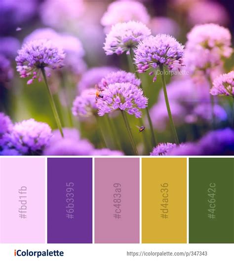 color palette ideas  flower plant flora image icolorpalette