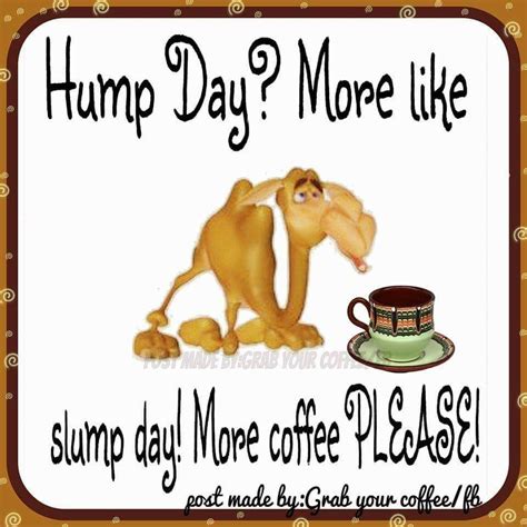 Hump Day Fact Quotes Bones Funny Coffee Humor