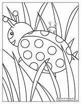 Coloring Ladybug Pages Lady Bug Colouring Sheet Sheets Printable Coloriage Coccinelle Colour Color Adults sketch template