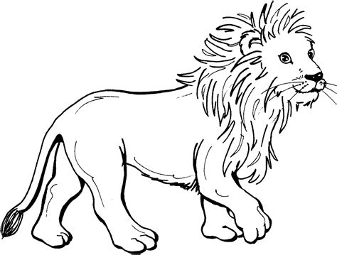 lion printable coloring pages