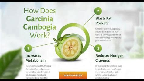 what is pure asian garcinia and how do it make you lose weight in 2