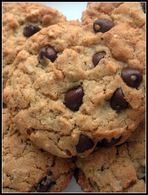 filechocolate chip oatmeal cookies detailjpg wikimedia commons