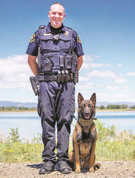 Larimer County Sheriffs Office K9 Tyr To Get Donation Of Body Armor