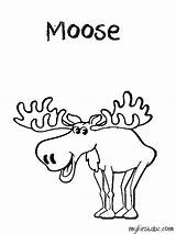 Moose Coloring Pages Antlers Comments Coloringhome Library Getdrawings Drawing Kids Colouring Clip Popular sketch template