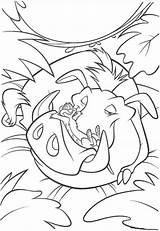 Pumbaa Timon Sleeping Lion King Coloring Pages Categories Kids Coloringonly sketch template