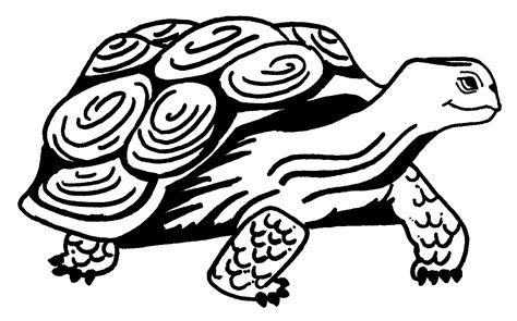 tortoise  animals  printable coloring pages