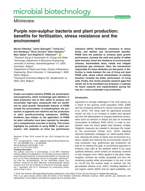 pdf purple non‐sulphur bacteria and plant production benefits for fertilization stress