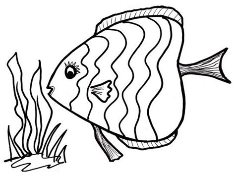 fish coloring page  printable activity shelter