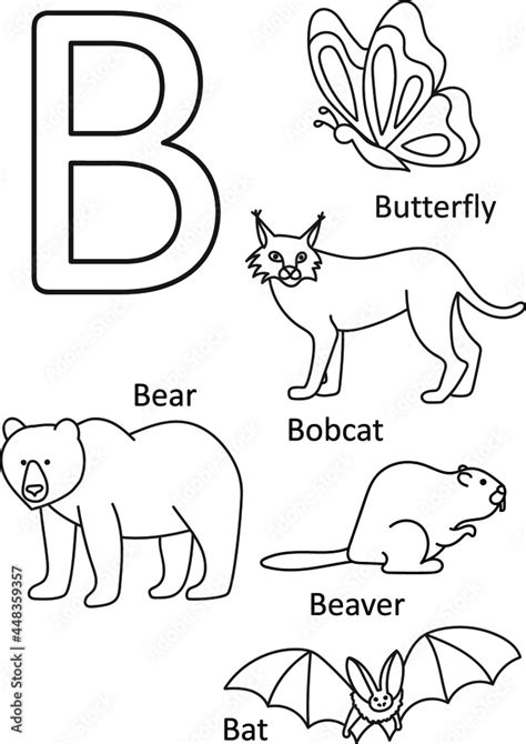 animals names alphabet coloring  kids alphabet animals coloring