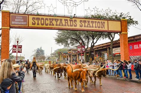 guide   fort worth stockyards explore shaw