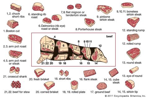 beef definition grades facts britannica