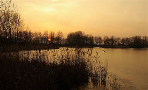 het prinsenbos bezoek westland