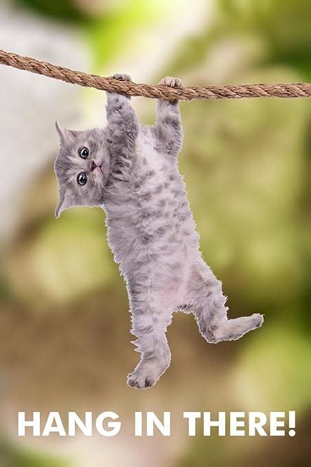hang in there cat hanging from branch funny retro