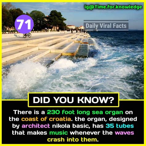 amazing facts