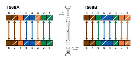 cat patch cable wiring diagram pin  ethernet lan cables   picture shows