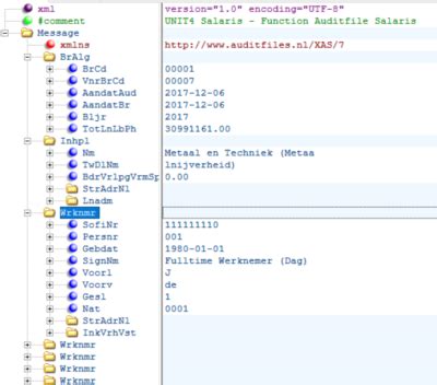 xas salaris auditfile belastingdienst auditfilenu